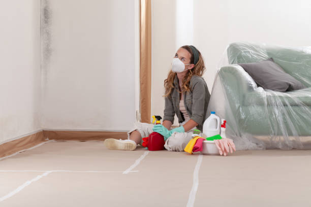 Reliable Mold Removal contractor in New Germany, MN by Mold Remediation HQ